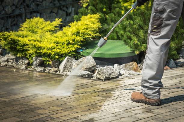 Professional Pressure Washing Services in Lubeck, WV